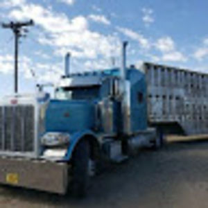 Meet your Posher, Larry